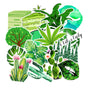 Green VSCO Stickers